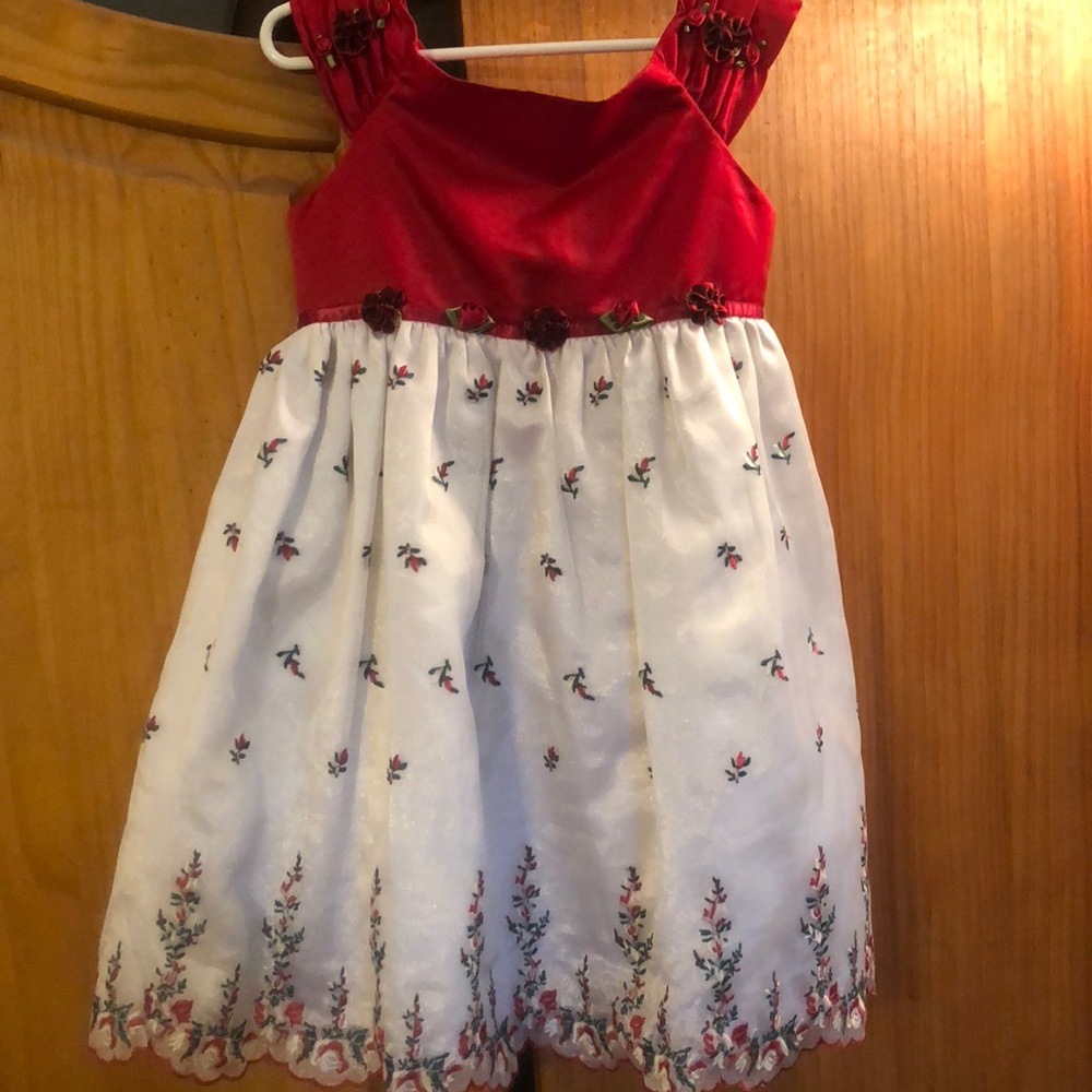 Holiday Dress-Worn only once!